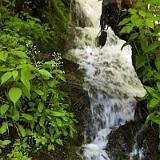 IMG_4593 - Version 2